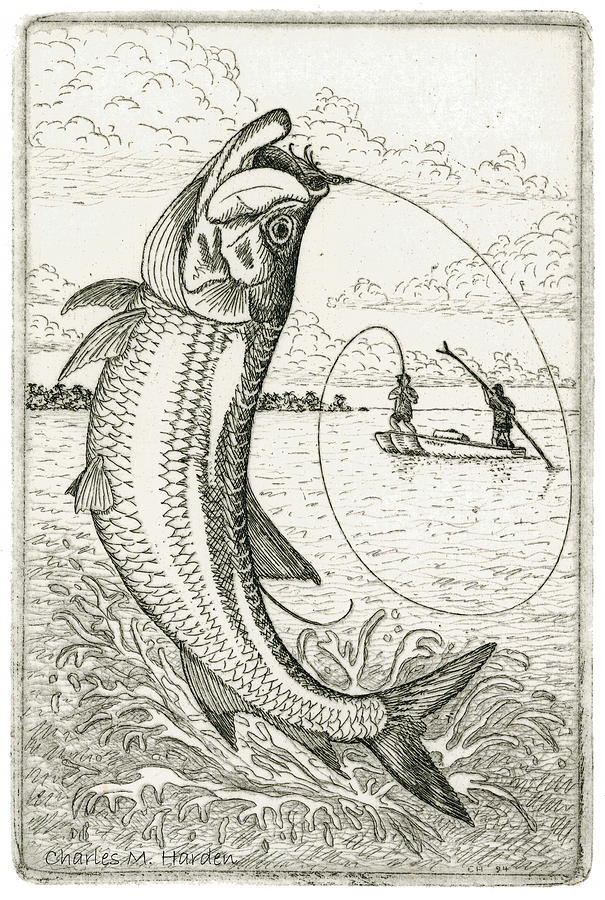 Leaping Tarpon Drawing by Charles Harden