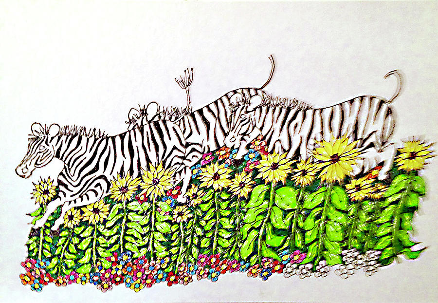 Leaping Zebras Drawing by Gerry Delongchamp
