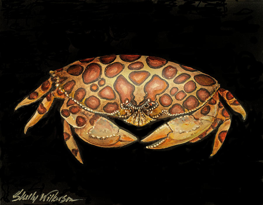 Leopard Crab Painting by Shelly Wilkerson