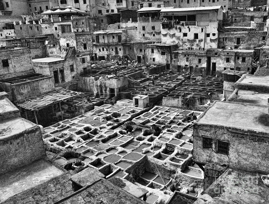 Leather Tannery Fes Morocco BW Photograph by Chuck Kuhn