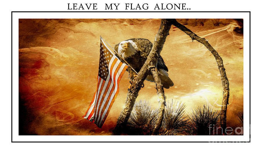 Eagle Photograph - Leave My Flag Alone by Geraldine DeBoer