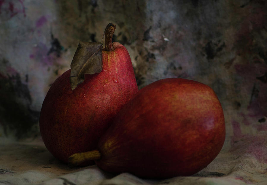  Leave - The Pear Saga Photograph by Rae Ann  M Garrett