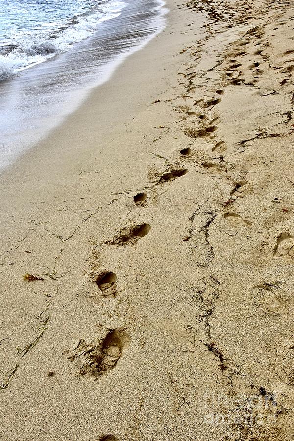 Leave your footprint Photograph by JL Images - Fine Art America