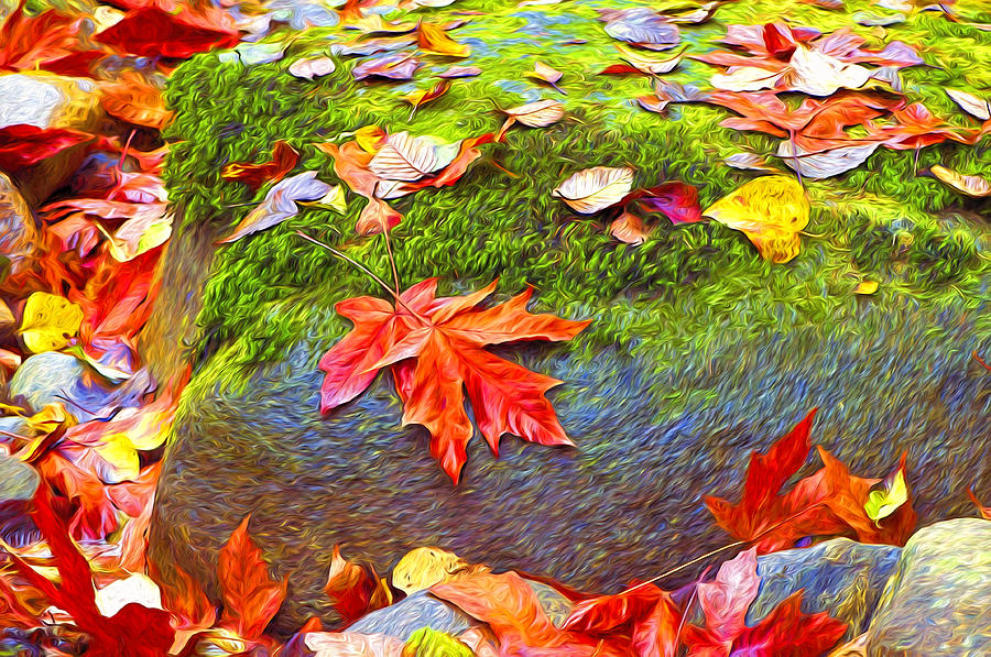 Leaves and Moss Digital Art Photograph by Sharon Talson