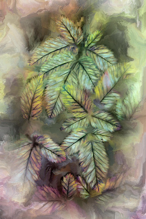 Leaves AP FX Digital Art by Dan Carmichael