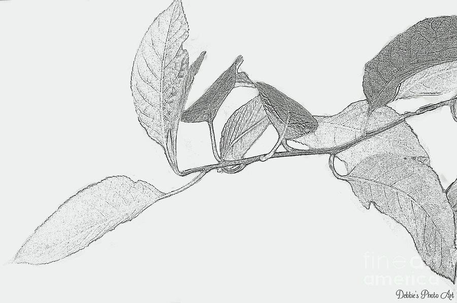 Leaves Black and White Sketch Effect Digital Art by Debbie Portwood