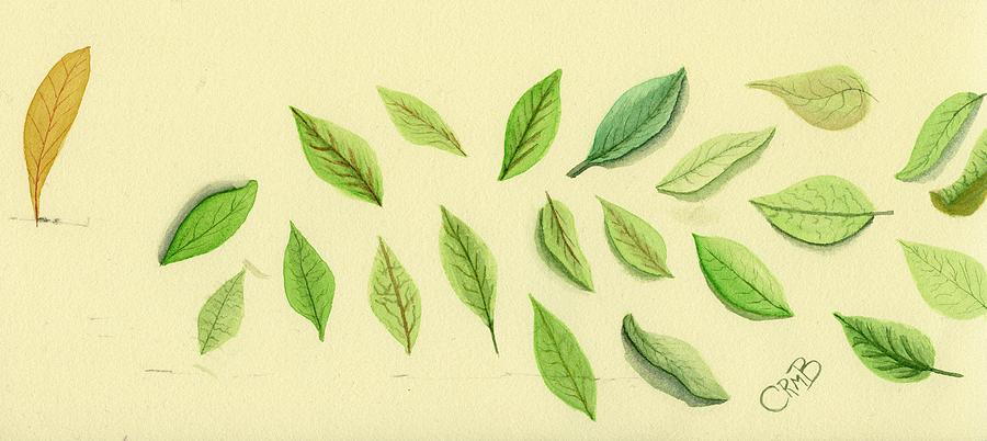 Leaves by Candace Bailly Leaves by Candace Bailly