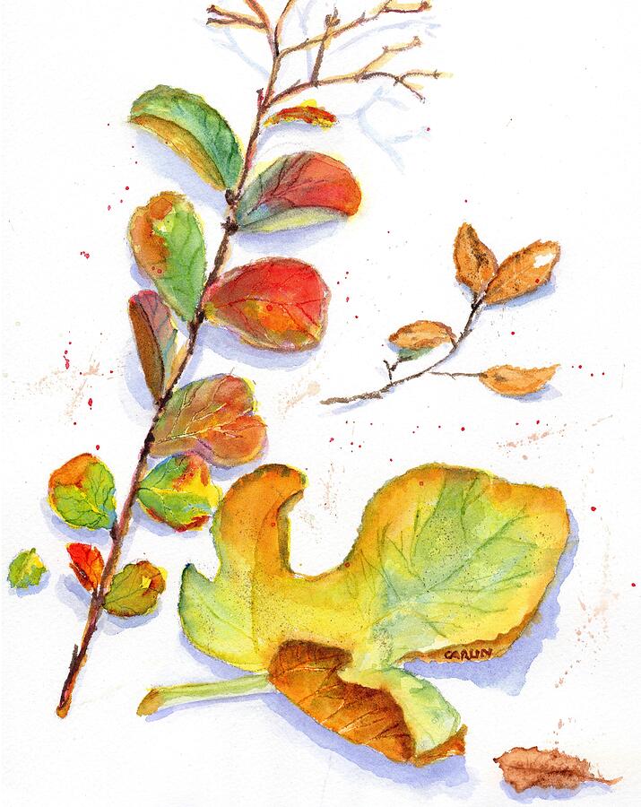 Leaves - Colorful Watercolor Painting by Carlin Blahnik CarlinArtWatercolor