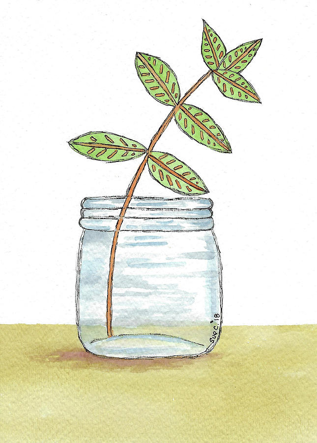 Watercolor And Ink Painting - Leaves In A Jar by Susan Campbell Watercolor And Ink Painting - Leaves In A Jar by Susan Campbell