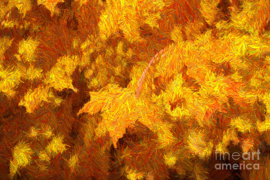 Leaves in Abstract  Photograph by Rachel Cohen