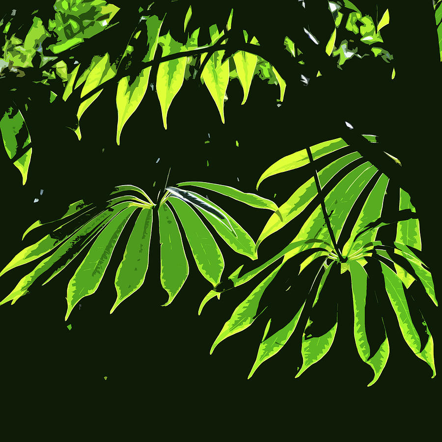 Leaves in an English Garden Photograph by James Hill