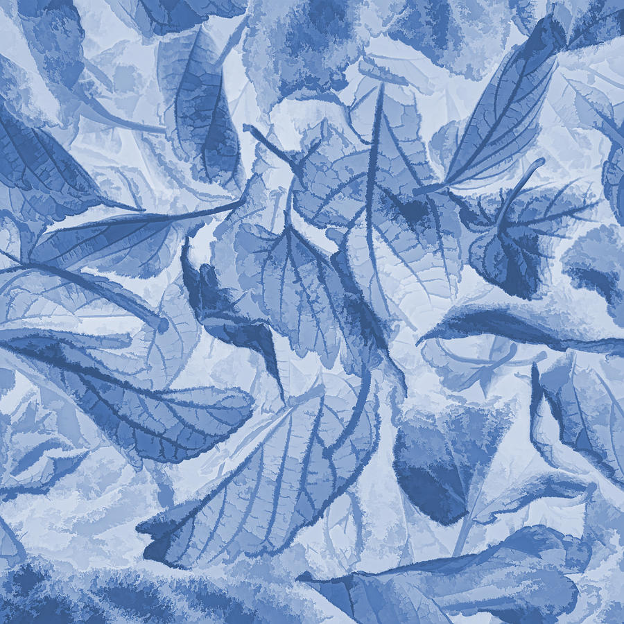 Leaves In Blue Photograph by Susan Eileen Evans