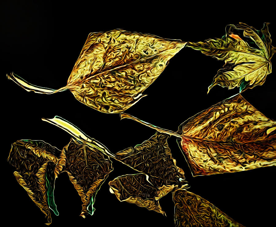 Leaves in Gold Digital Art by Cathy Anderson