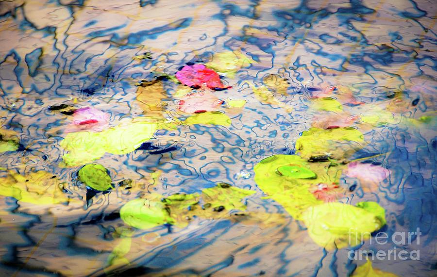 Abstract Photograph - Leaves in the Fountain by D Davila