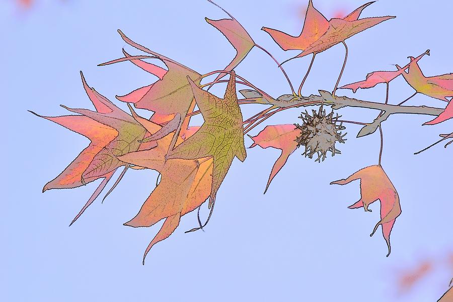 Leaves Macro 3 Abstract 1 Digital Art by Linda Brody