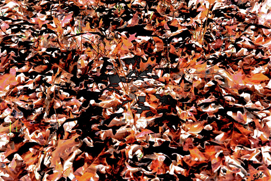 Leaves of Arkansas in Abstract Photograph by Gina OBrien