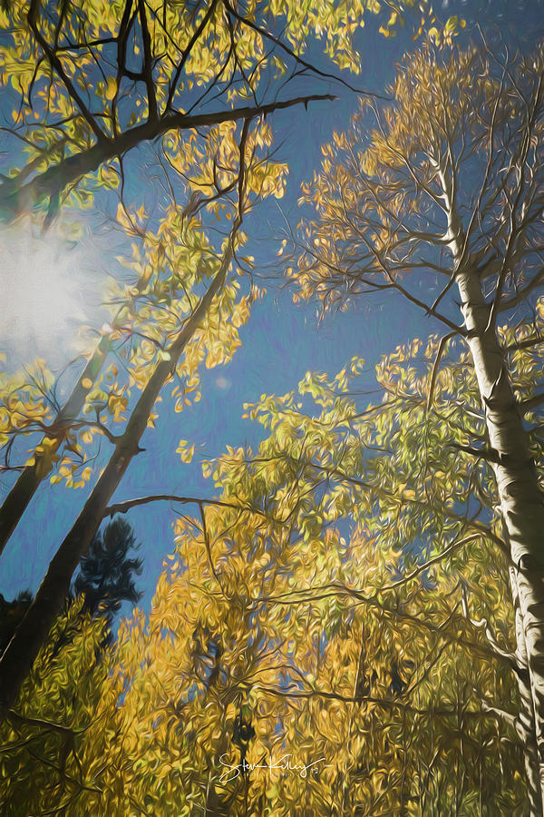 Leaves of Fall by Steve Kelley Leaves of Fall by Steve Kelley