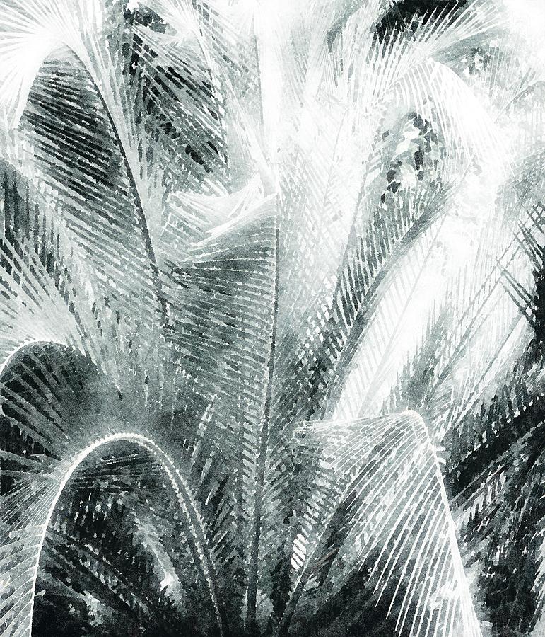 Leaves of Palm by Mustapha Dazi Leaves of Palm by Mustapha Dazi