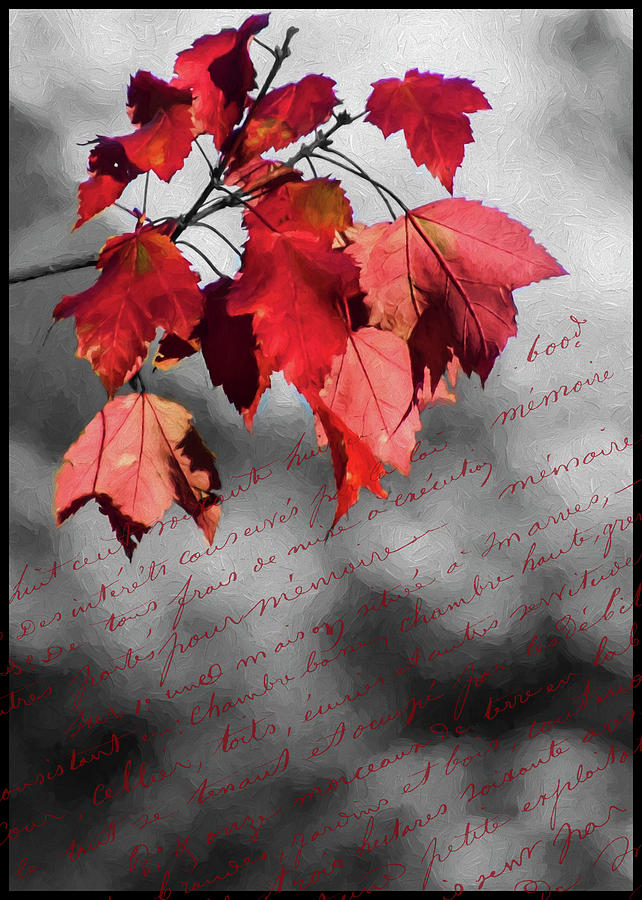 Leaves of Red Photograph by Cathy Kovarik