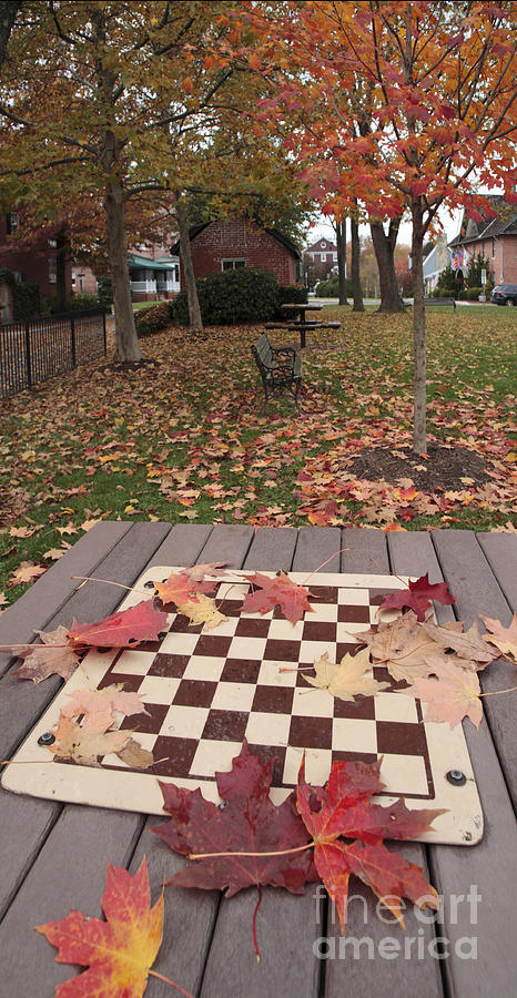 Leaves on an Outdoor Chess Table Photograph by William Kuta