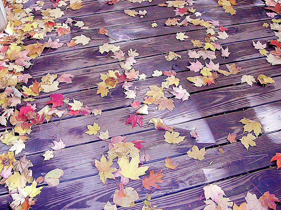 Leaves on Deck Photograph by Linda Carruth