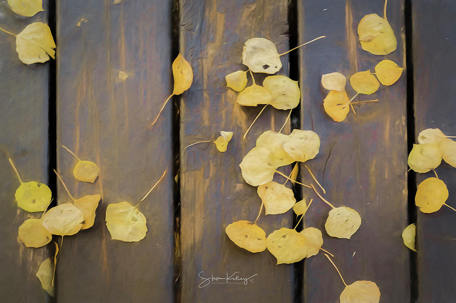 Leaves on Planks by Steve Kelley Leaves on Planks by Steve Kelley