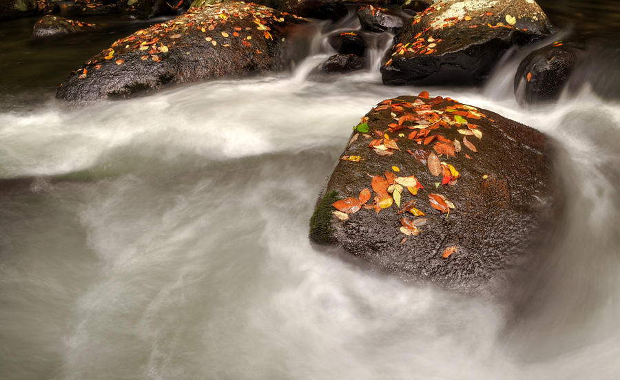 Leaves On Rocks In Water Photograph by Greg and Chrystal Mimbs