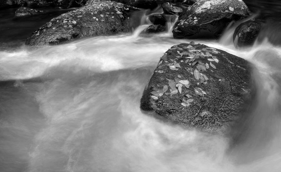 Leaves On Rocks In Water in Black and White Photograph by Greg and Chrystal Mimbs