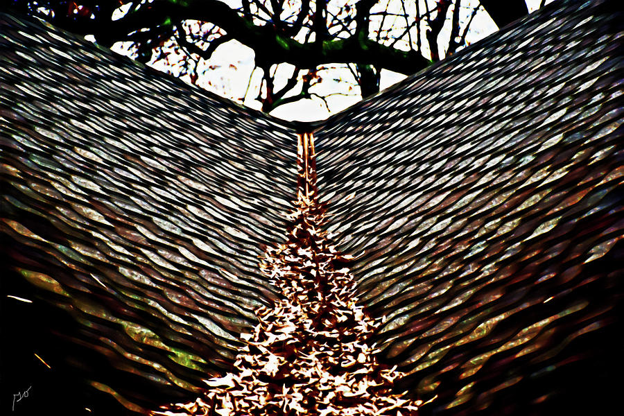 Leaves On Rooftop Photograph