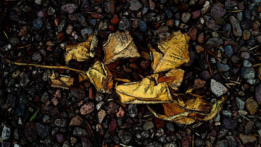 Pebbles Photograph - Leaves on the Beach by Klee Miller