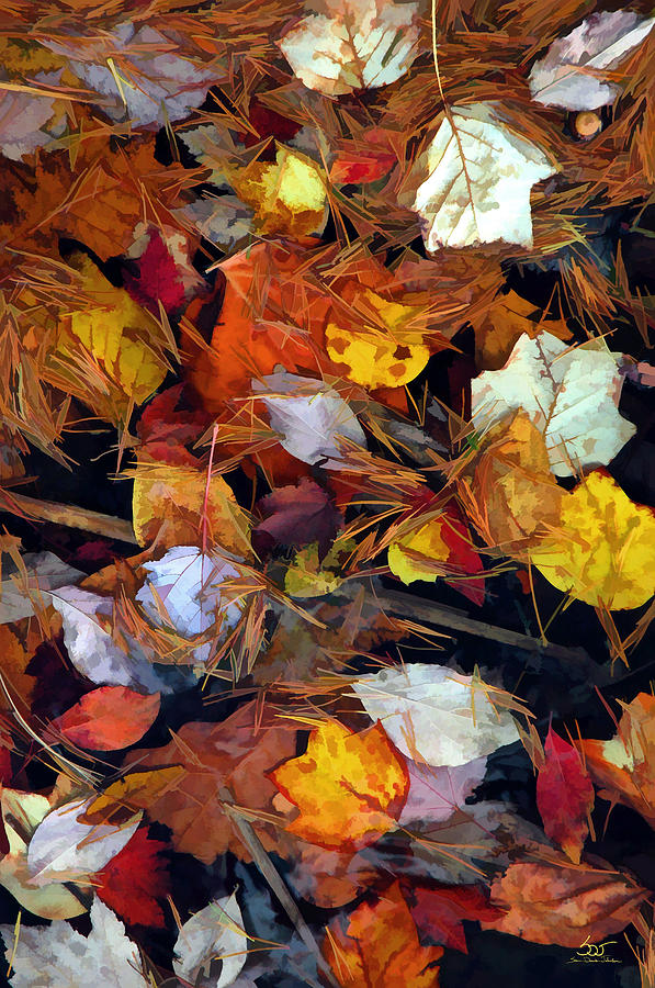 Leaves On Water 1 Photograph by Sam Davis Johnson