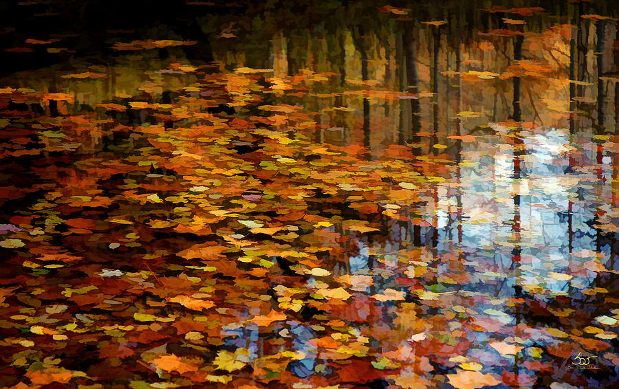 Leaves on Water 2 Photograph by Sam Davis Johnson
