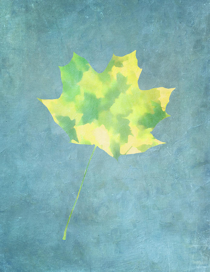 Leaves Through Maple Leaf On Texture 1 Photograph by Gary Slawsky