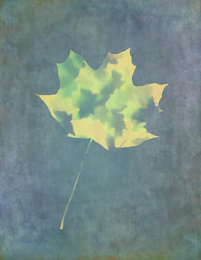 Leaves Through Maple Leaf On Texture 3 Photograph by Gary Slawsky