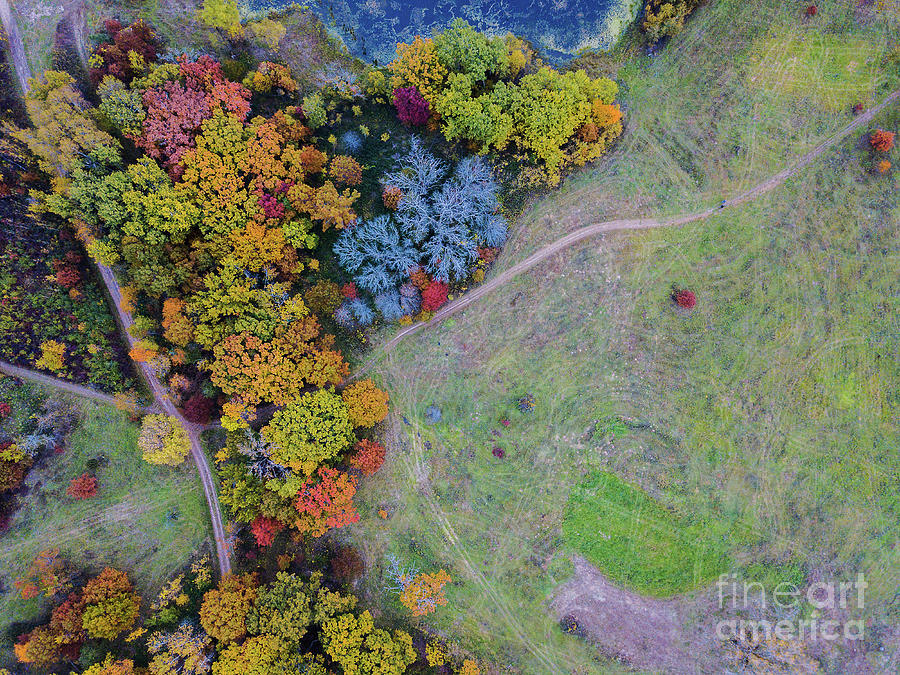 Fall Photograph - Lebanon Hills Park Eagan MN Autumn by Drone by Wayne Moran