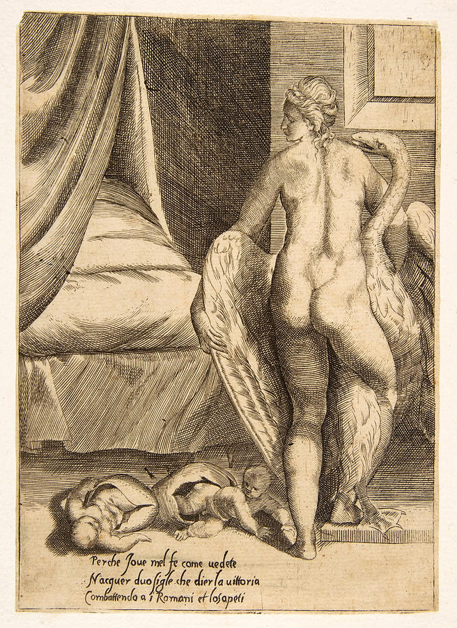 Leda and the Swan from The Loves of the Gods  Drawing by Giulio Bonasone