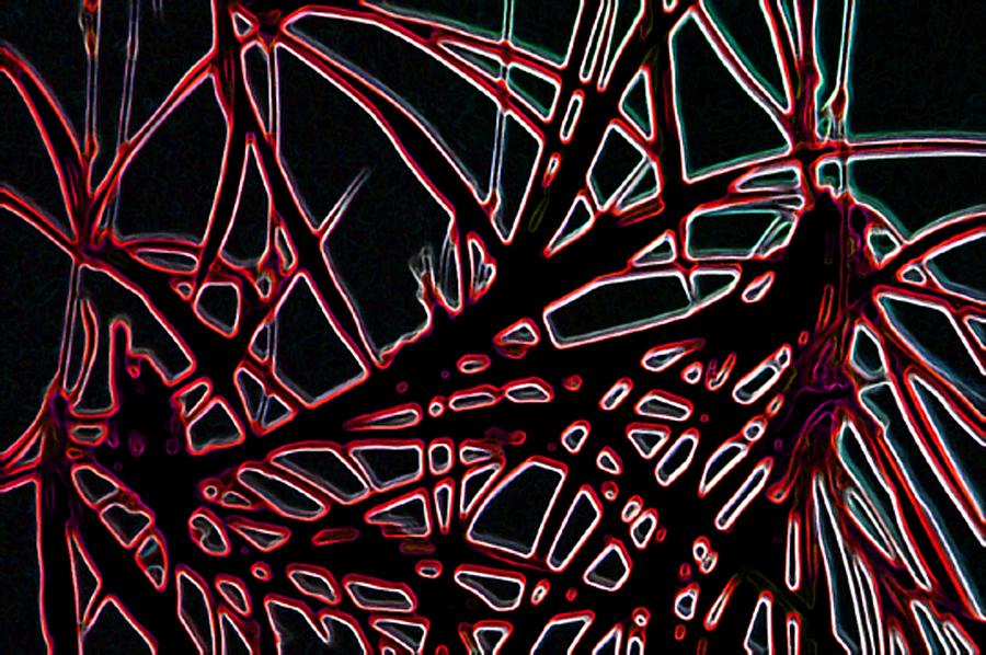 Lee Krasner Spider Plant Digital Detail 2 Digital Art by Dick Sauer