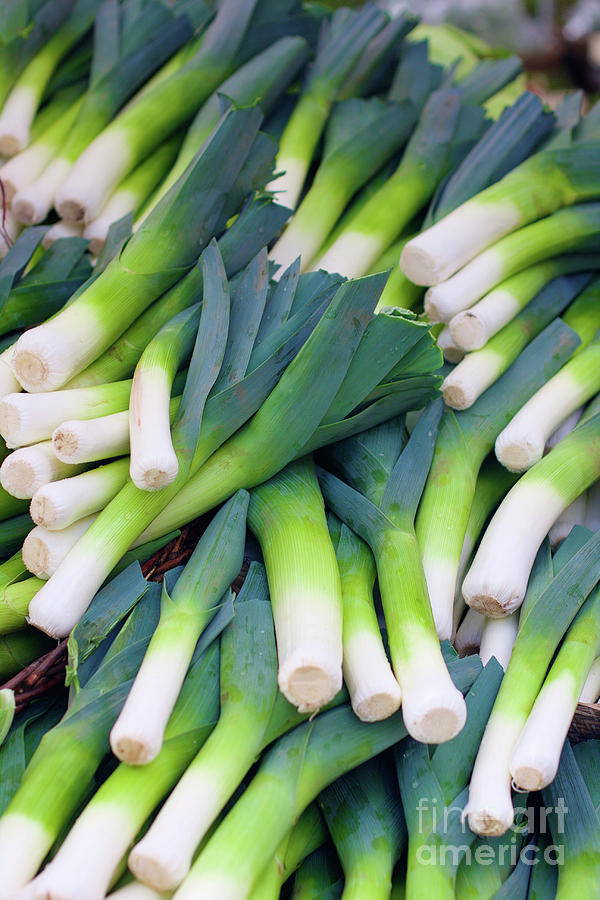  Leeks at the Farmers Market Photograph by Bruce Block