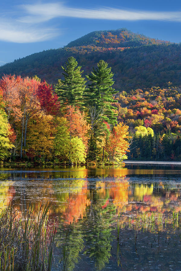 Lefferts Pond Photograph by Jonathan Steele - Fine Art America