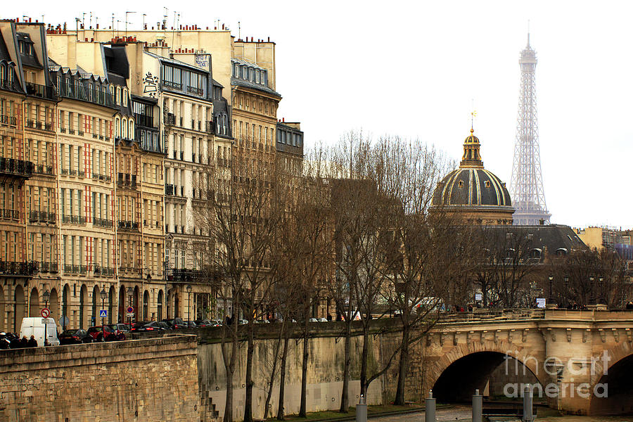 Left Bank View Paris Photograph by John Rizzuto