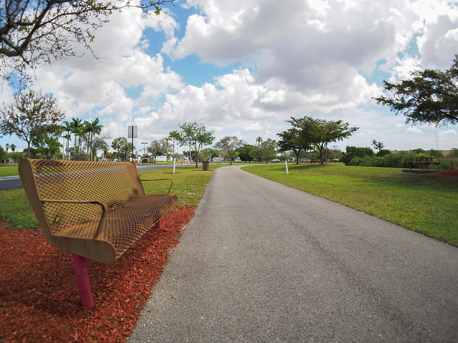 Miami Photograph - Left bench by David Alexander Arnavat