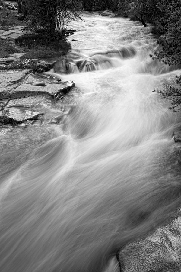 Left Hand Creek Portrait in Black and White Photograph by James BO Insogna