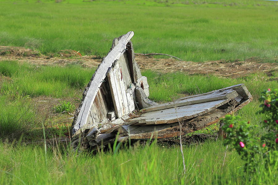 Rotting Photograph - Left to rot by Brian Pflanz Rotting Photograph - Left to rot by Brian Pflanz