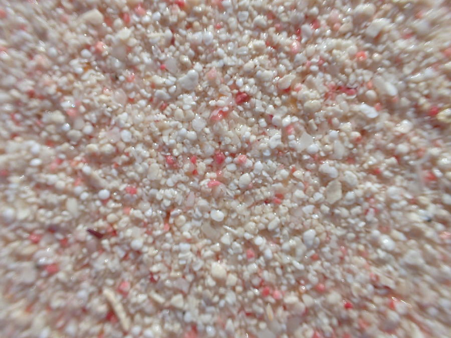 Legendary Pink Sand From Eleuthera Bahamas Photograph by Lora Louise