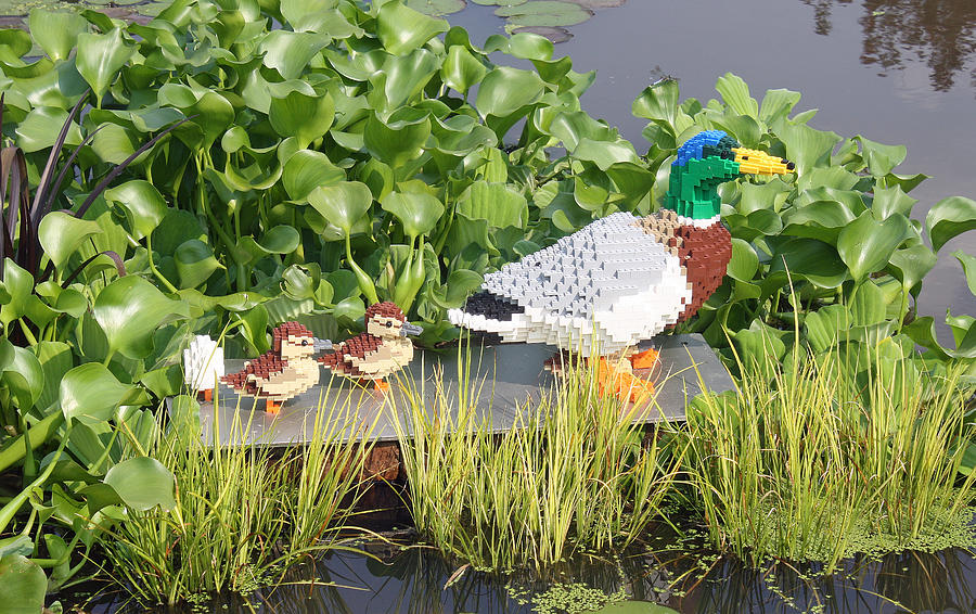 Lego Duck Garden Display Photograph by Ellen Tully