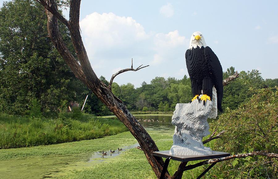 Lego Eagle Display Photograph by Ellen Tully
