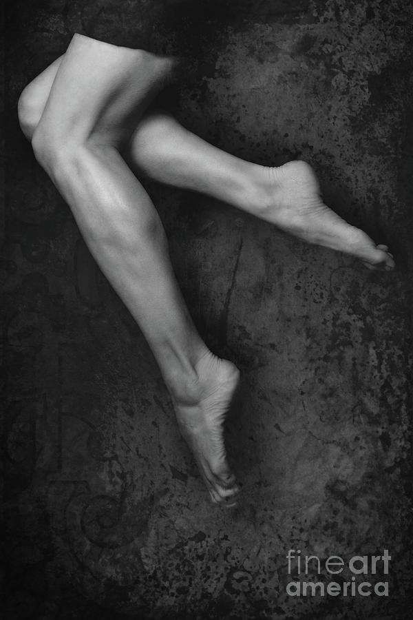Legs Number One Photograph by Clayton Bastiani