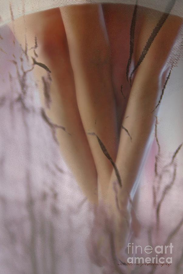 Legs Photograph by Vicki Ferrari