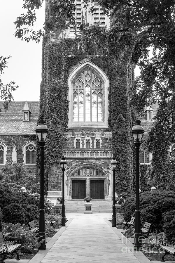 Lehigh University Memorial Walk Photograph by University Icons