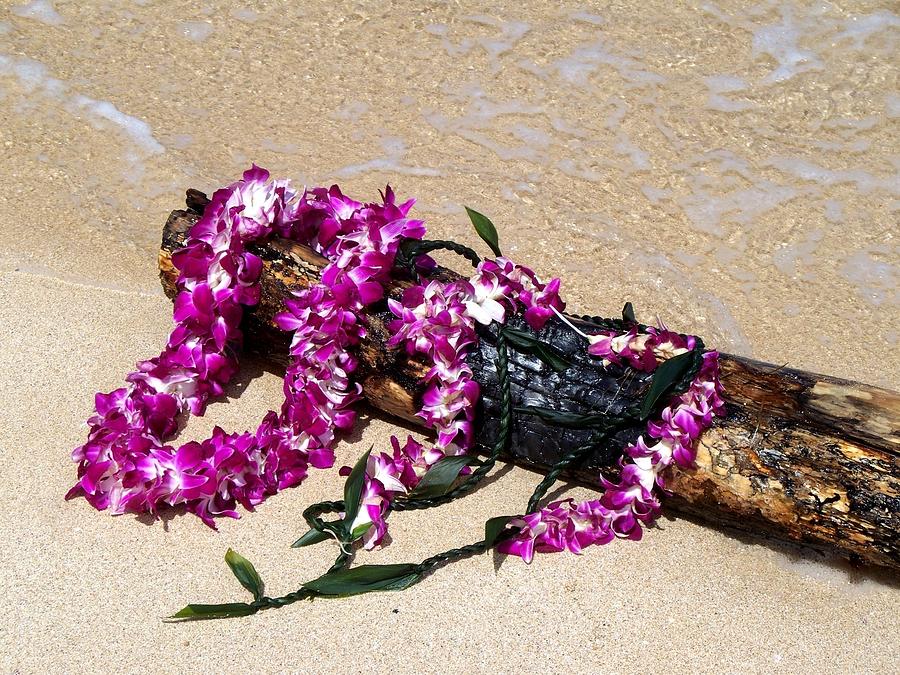 Lei on the Water Photograph by Grant Wiscour - Fine Art America